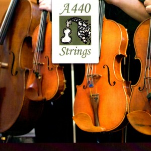 A440 Strings - String Quartet / Wedding Musicians in Fort Wayne, Indiana