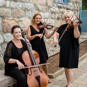 Classy Strings - String Trio / Violinist in Newport, Rhode Island