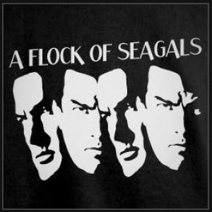A Flock Of Seagals - 1980s Era Entertainment in Kennesaw, Georgia