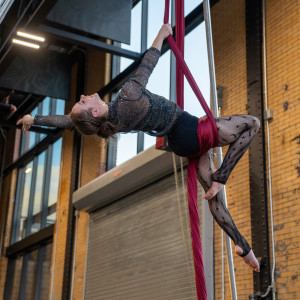 Buffalo Aerial Dance - Aerialist in Buffalo, New York