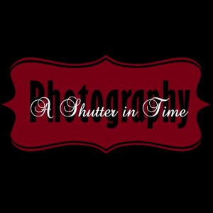 A Shutter in Time Photography - Photographer / Portrait Photographer in Westminster, California