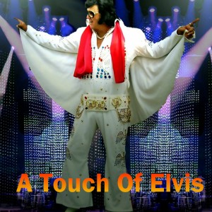 A Touch Of Elvis