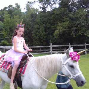 A Wind in the Woods - Pony Party in Chagrin Falls, Ohio