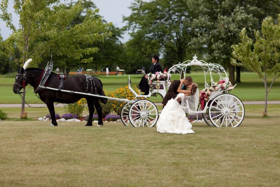 Gallery photo 1 of Abraham's Carriage Service