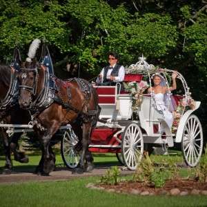 Abraham's Carriage Service
