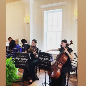 Adagio Weddings Strings - Classical Ensemble / Holiday Party Entertainment in Jacksonville, Florida