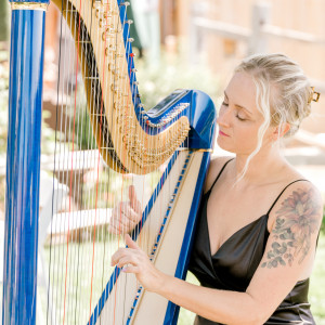 Adrienne Knauer, Harpist + DJ