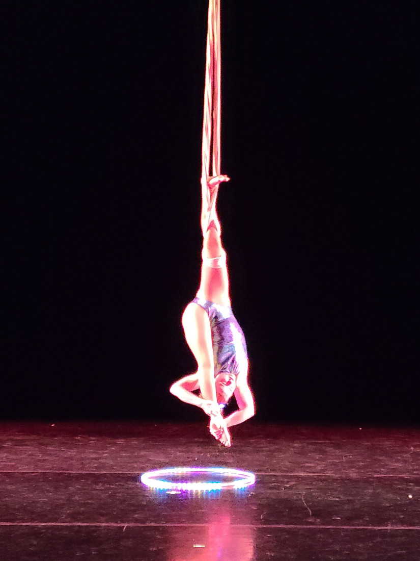 Gallery photo 1 of Aerial and Circus Arts by: Emily