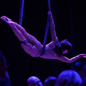 Aerial Artist, Amy Lopez-Caruso - Aerialist in New Orleans, Louisiana