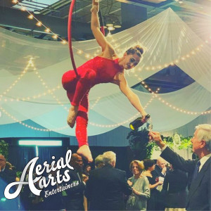 Aerial Arts of Rochester - Aerialist / Acrobat in Rochester, New York