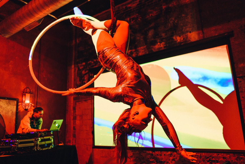 Hire Aerial Bartender and Performer Aerialist in Dallas, Texas