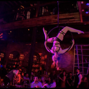 Aerial Bartender and Performer - Aerialist in Dallas, Texas