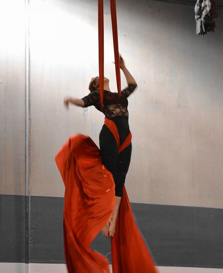 Gallery photo 2 of Aerial Performances