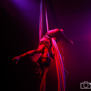 Aerial Silk - Aerialist / Ballroom Dancer in Brooklyn, New York