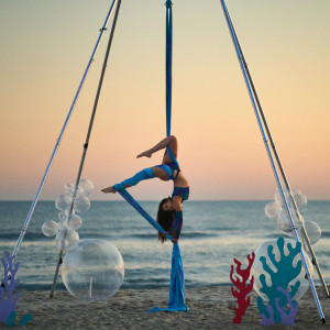 Aerial Artistry - Aerialist in Sayville, New York