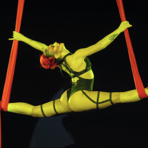 Aerial Straps, Aerial Silks - Aerialist in Los Angeles, California