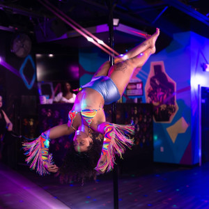 Aerialist and Pole Dacing - Aerialist / Circus Entertainment in Oak Ridge, North Carolina