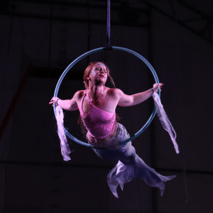 Aerialist Mermaid - Aerialist in Euless, Texas