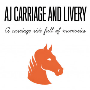 AJ Carriage and Livery - Horse Drawn Carriage / Pony Party in McDonough, Georgia