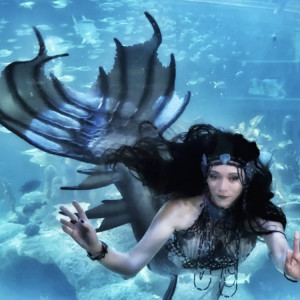 Blue Mermaid Designs - Mermaid Entertainment in Fort Myers, Florida