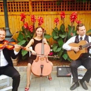 Alexandra NYC Cellist and Strings - String Trio in Stamford, New York