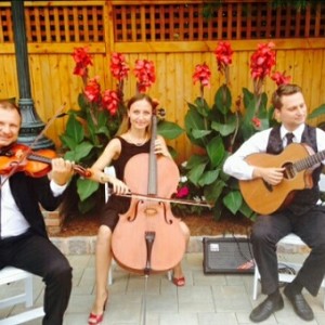 Alexandra NYC Cellist and Strings - String Trio / Chamber Orchestra in Stamford, New York