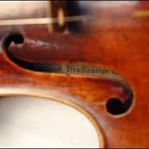 Alexandra String Services - Violinist in Ocala, Florida