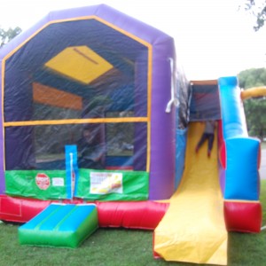 All Pumped Up LLC - Party Inflatables / Family Entertainment in Eagan, Minnesota