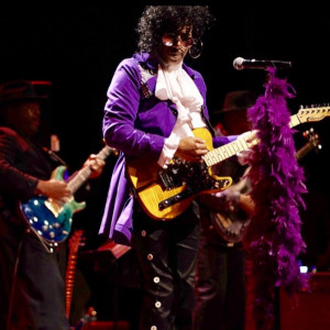 All Star Purple Party - Prince Tribute / Look-Alike in Washington, District Of Columbia