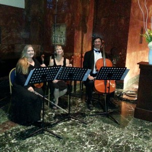 All Trillium Ensembles - String Quartet / Wedding Entertainment in Minneapolis, Minnesota