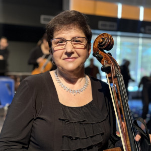 Allegro - String Quartet in Mississauga, Ontario