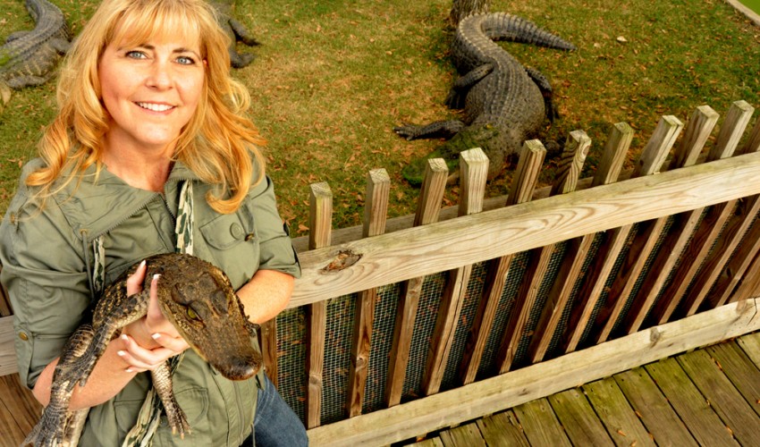 Hire Alligator Sallie, Grabs Your Audience By The Tail Business