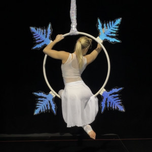 Ally Hornsby - Aerialist in Mississauga, Ontario