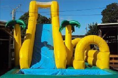 Gallery photo 1 of Aloha Inflatables