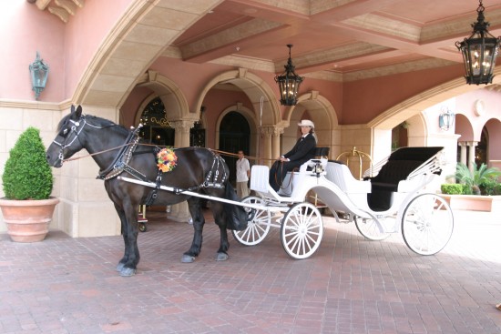 Gallery photo 1 of Always & Forever Carriage Company