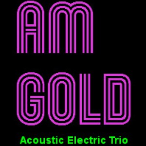 Am Gold Music Group - Easy Listening Band in Statesville, North Carolina