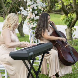 Lecuona Music Enterprises - String Quartet / Wedding Entertainment in Miami, Florida