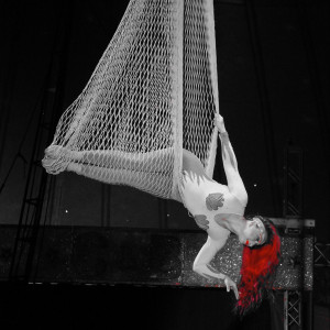 Amanda Valencia - Circus Entertainment / Aerialist in Seagoville, Texas