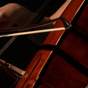 Amateur Cellist
