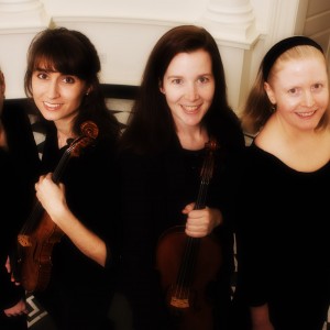 Amati Chamber Music - String Quartet / String Trio in Kennesaw, Georgia