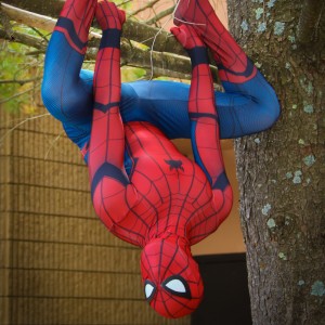 Amazing Spider-J