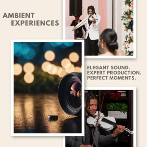 Ambient Strings - Violinist / Wedding Entertainment in Dallas, Texas