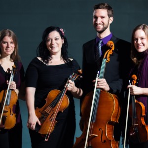 Amethyst Ensemble - String Quartet in Chicago, Illinois