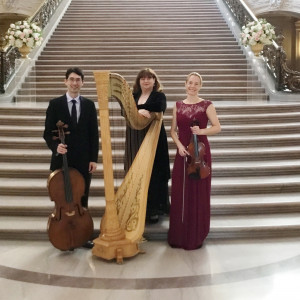 Amethyst Trio - String Trio / Harpist in San Francisco, California