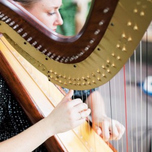 Andrea Blanchfield, Harpist