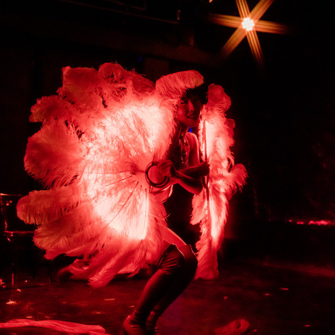 Hire Andrea Flow - LED Performer in Jersey City, New Jersey