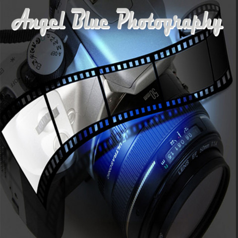 Hire Angel Blue Photography - Photographer in Newport Beach