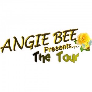 Angie BEE Presents-A Christian Youth Concert Tour - Christian Speaker / Wedding Officiant in Daytona Beach, Florida