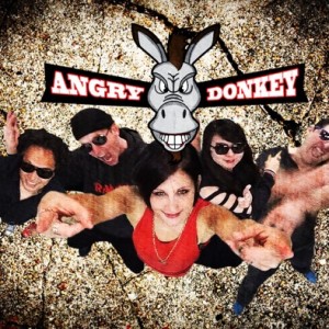 Angry Donkey - Cover Band / Americana Band in Hermosa Beach, California