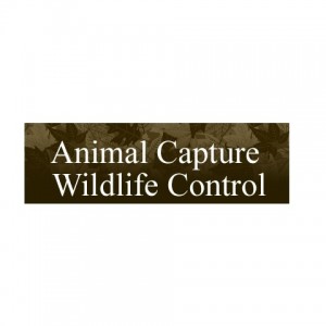 Animal Capture Wildlife Control